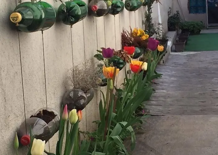 Vandrerhjem Pop Bogomil *