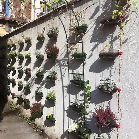 بيت شباب Pop Bogomil صوفيا