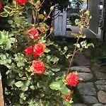 Auberge de jeunesse Pop Bogomil *